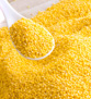 Production de la nourriture à bestiaux